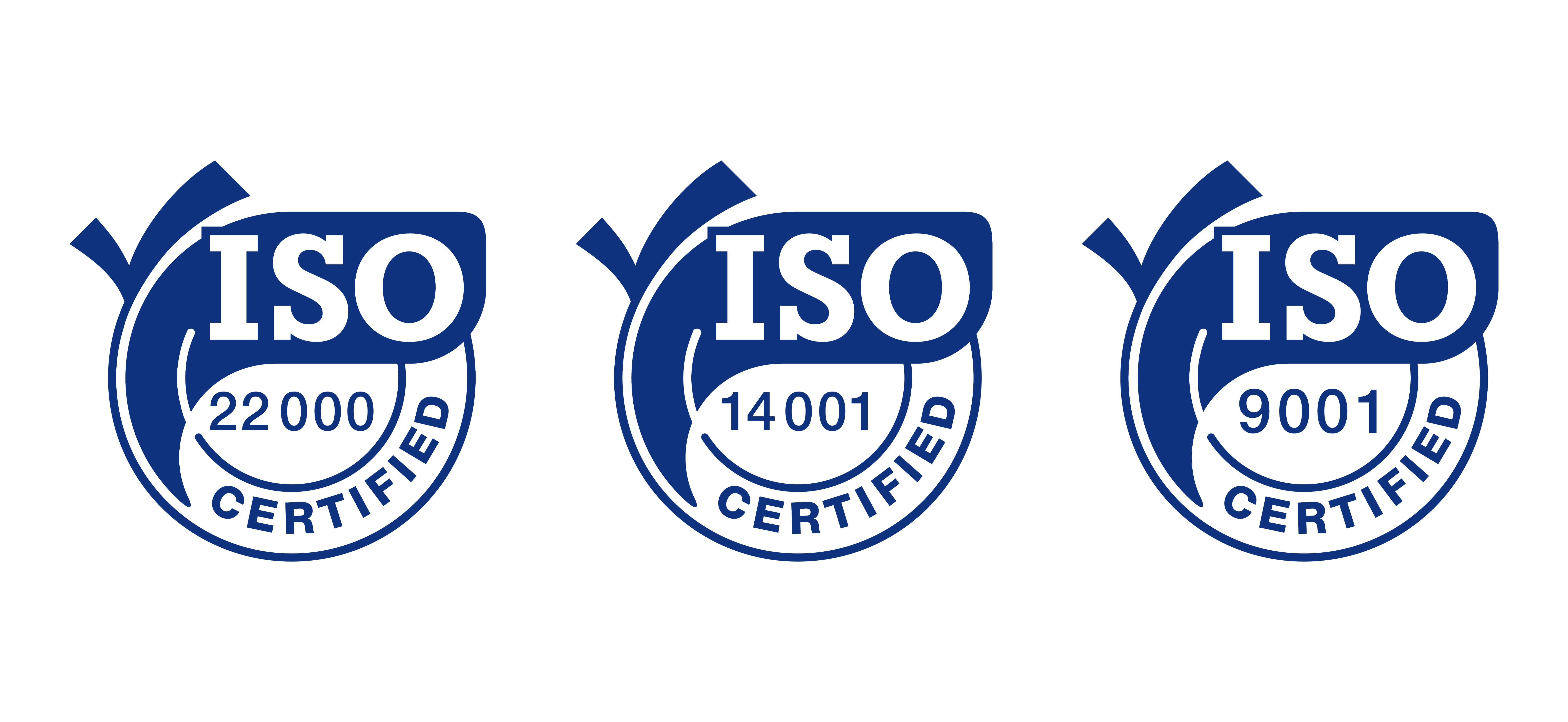 DSM ISO 14001:2015